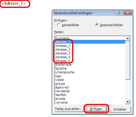 Seriendruckfeld einfügen